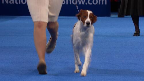 Team-Image